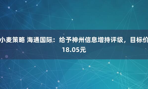 小麦策略 海通国际：给予神州信息增持评级，目标价18.05元