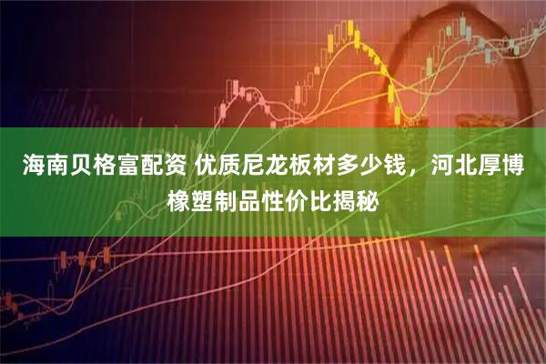 海南贝格富配资 优质尼龙板材多少钱，河北厚博橡塑制品性价比揭秘