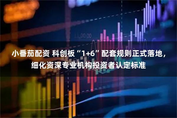 小番茄配资 科创板“1+6”配套规则正式落地，细化资深专业机构投资者认定标准