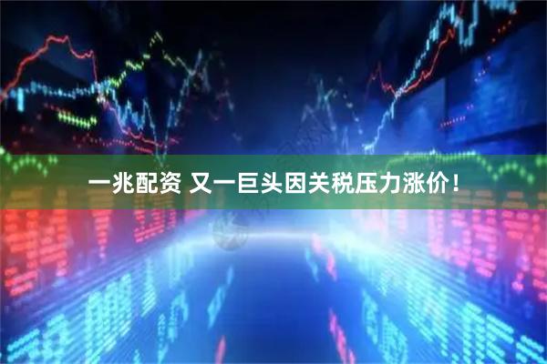 一兆配资 又一巨头因关税压力涨价！