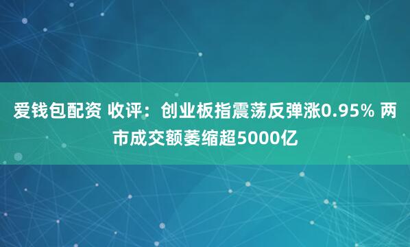 爱钱包配资 收评：创业板指震荡反弹涨0.95% 两市成交额萎缩超5000亿