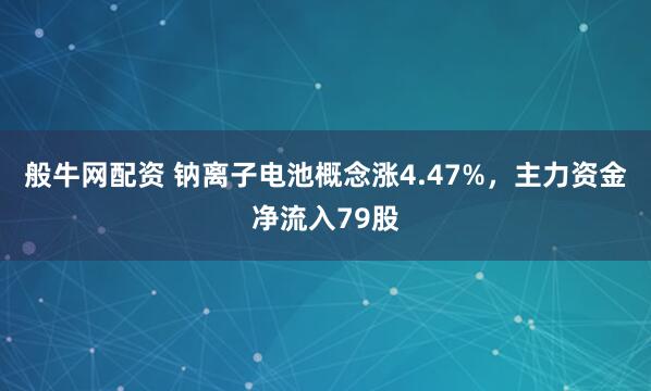 般牛网配资 钠离子电池概念涨4.47%，主力资金净流入79股